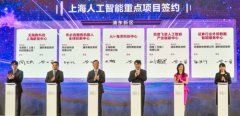 并已取得了显著的